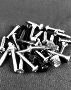 homecat_screws